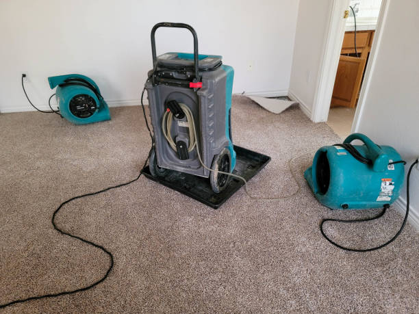 Best Ceiling water damage repair  in Wagoner, OK